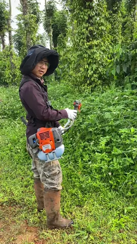 Cảm nhận sử dụng máy cắt cỏ Reload 543Vip#phatco#nongdan#farmlife 