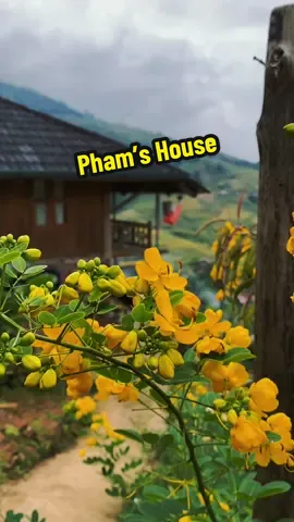 Buổi chiều cuối vụ lúa, thế là một mùa lúa nữa đang dần khép lại. Người mãn nguyện cì đã có kỳ nghỉ tuyệt vời với 1000 bức ảnh. Người thì tiếc hùi hịu vì k kịp săn lúa. Nhưng cậu ơi hãy cứ vui lên, vì có lúa hay không thì ở Pham’s House vẫn đẹp lắm ạ….#homestaysapa #homestaysapaviewdep #phamhouse 