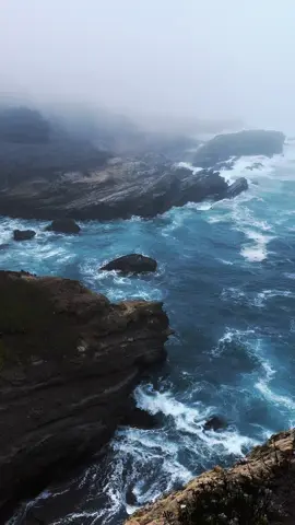 #pointlobos #ocean #nature #Hiking #fyp 