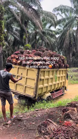 #sawitriau #cantermaniaindonesia #kuliaawit #viralvideo 