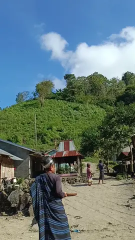 Demi tei pati walo ghelo