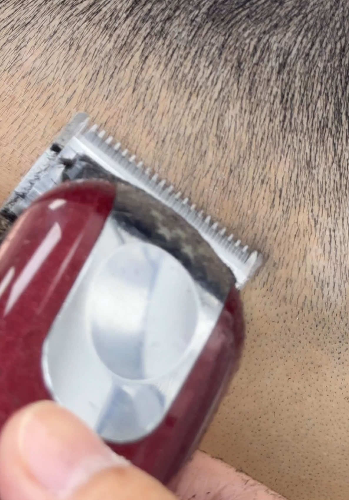 Fade 🎱 @neversaycutzofficial  #sn8kerthebarber #bangkokbarber #haircut #neversaycutz #barbershop 