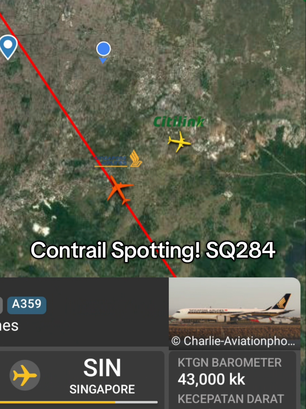 Contrail Spotting Singapore Airlines 9V-SMP cruising high attitude at 43000ft #fyp #contrailspotting #singaporeairline #planespotting #avgeek 