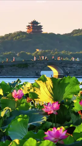 If paradise had a name ,it might just be Hangzhou.✨#China #chinatravel #Hangzhou #westlake #beauty 