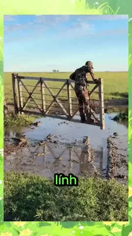 Những khoảnh khắc thú vị #cauchuyencuocsong #virral #xh