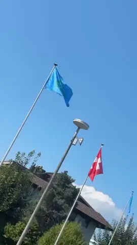 💙💙💙💙