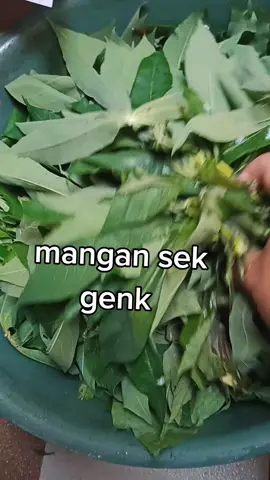 sayur daun singkong,, ikan asin, rasanya,, ndulll 😄😄#fyppppppppppppppppppppppp 