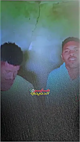 #منو_الببكي_منو_الندمان #trendingvideo #الشفيع_محمدالدويحي 