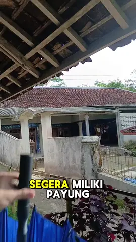 Payung Golf Jumbo Otomatis Anti UV #musimhujan #butuhpayung #payungotomatis #payungantiuv #payungjumbo 