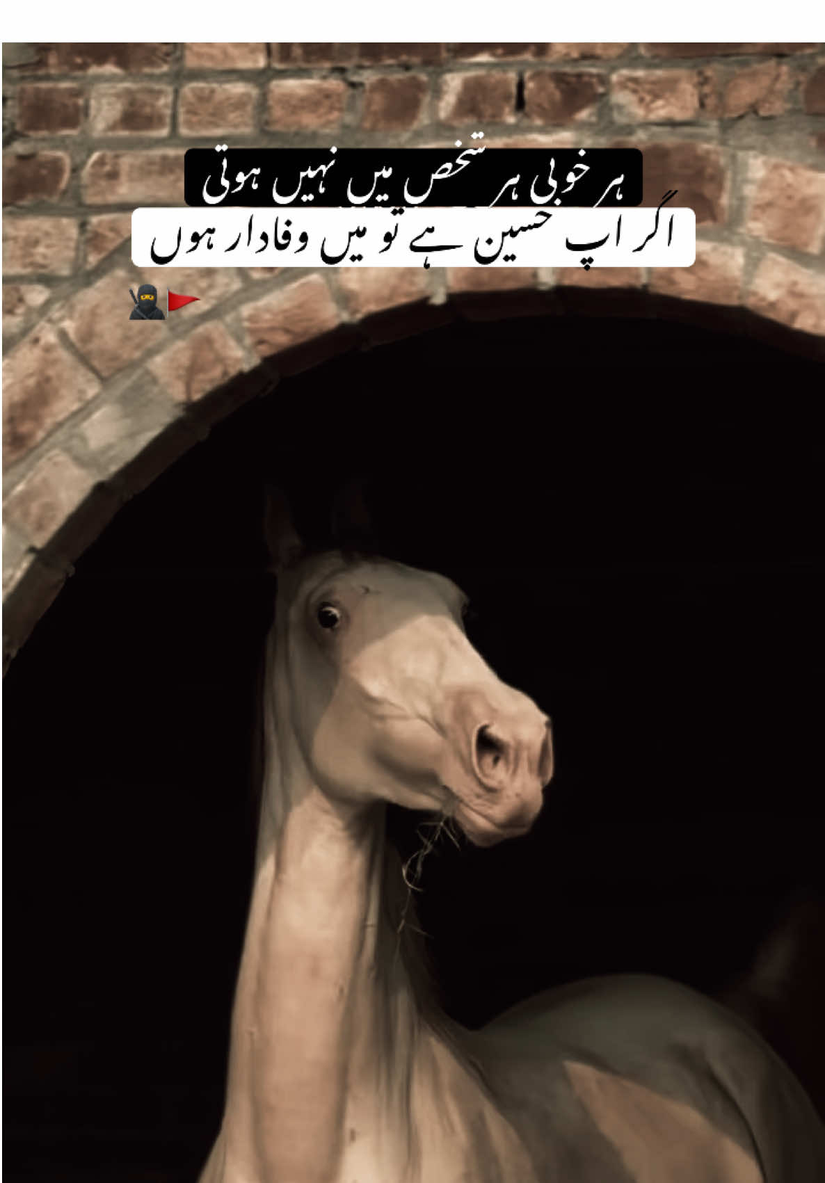 HAN G☠️, . . . #fyp #sultanwrite34 #viraltiktok #foryoupage #millionviews 