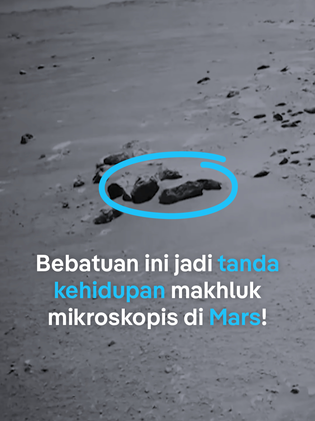 Kendaraan penjelajah NASA, Perseverance menemukan kemungkinan tanda-tanda kehidupan purba di Mars 😱 Menurut para ilmuwan, batuan 🪨 yang ditemukan Perseverance di aliran sungai purba yang mengering bisa jadi menyimpan petunjuk adanya kehidupan mikroskopis di Mars! 📹 @dwnews