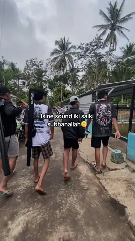 Sound meresahkan🥵 #CapCut #fyp #rilisan #rilisanjawatimur #mancingmaniamalang 