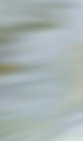 #CapCut Quảng đời còn lại không mong gì nhìu  chỉ mong sao tìm được chúc bình yên.