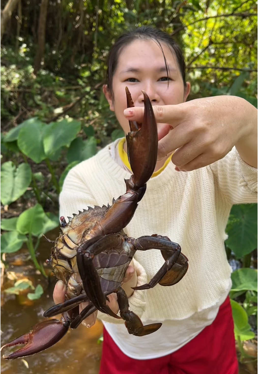 cerita seru di ladang hari ini dengan berbagai penemuan kita buat di masak @MYIWE  #carisiput #PraktisCaranyaNyataHasilnya #Myiwe #HairColoringShampoo #ShampooUban #ShampooUbanNonAmonia #ShampooMyiwe