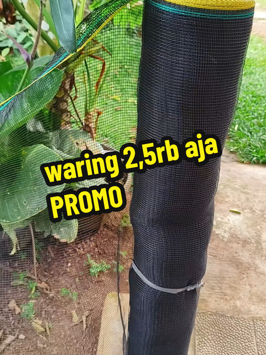 Waring Jaring, pagar sayuran pekarangan, pagar kebun, pengaman sayuran, Waring bagus, Waring murah, Waring awet, jaring serbaguna, pagar jaring #waring #pagarkebun #jaringpengamantanaman #jaringpengamanayam #jaringpengaman 