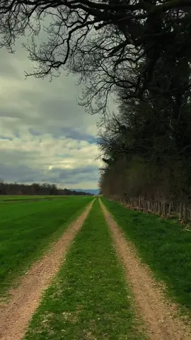 All the tears are shed for happiness.#fyp 