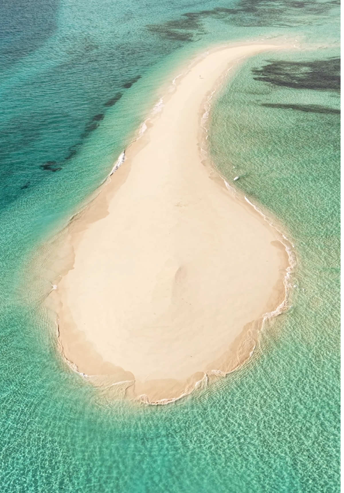 A Nakupenda sandbank day trip is a popular excursion from Stone Town, Zanzibar, where you take a boat to a beautiful, pristine white-sand bank that appears with the tide. #zanzibar #beautifuldestinations #fyp #foryoupage 
