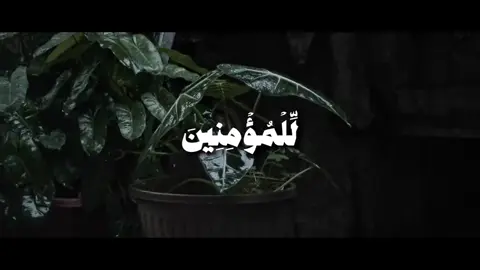 { قَلّ لِلْمُؤْمِنِينَ يَغْضّوا مِنْ أَبْصَارِهِمْ وَيَحْفَظُوا فَرُوجَهُمْ } [سُورة النور: ٣٠] القارئ: محمد صديق المنشاوي . ..#قران_كريم #بسم_الله_الرحمن_الرحيم  