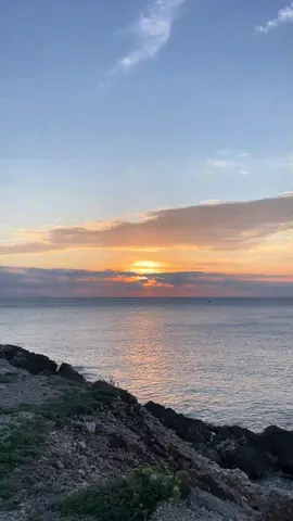 la vie dans le sud 💛🌞 #southoffrance #dailylife 