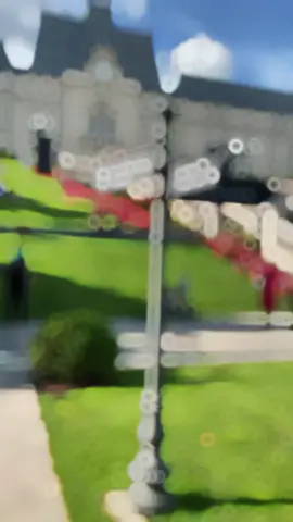 #foryoupage #foryou #grow #account 