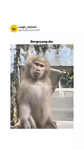 #memes #random #foryoupage #meme #funny 