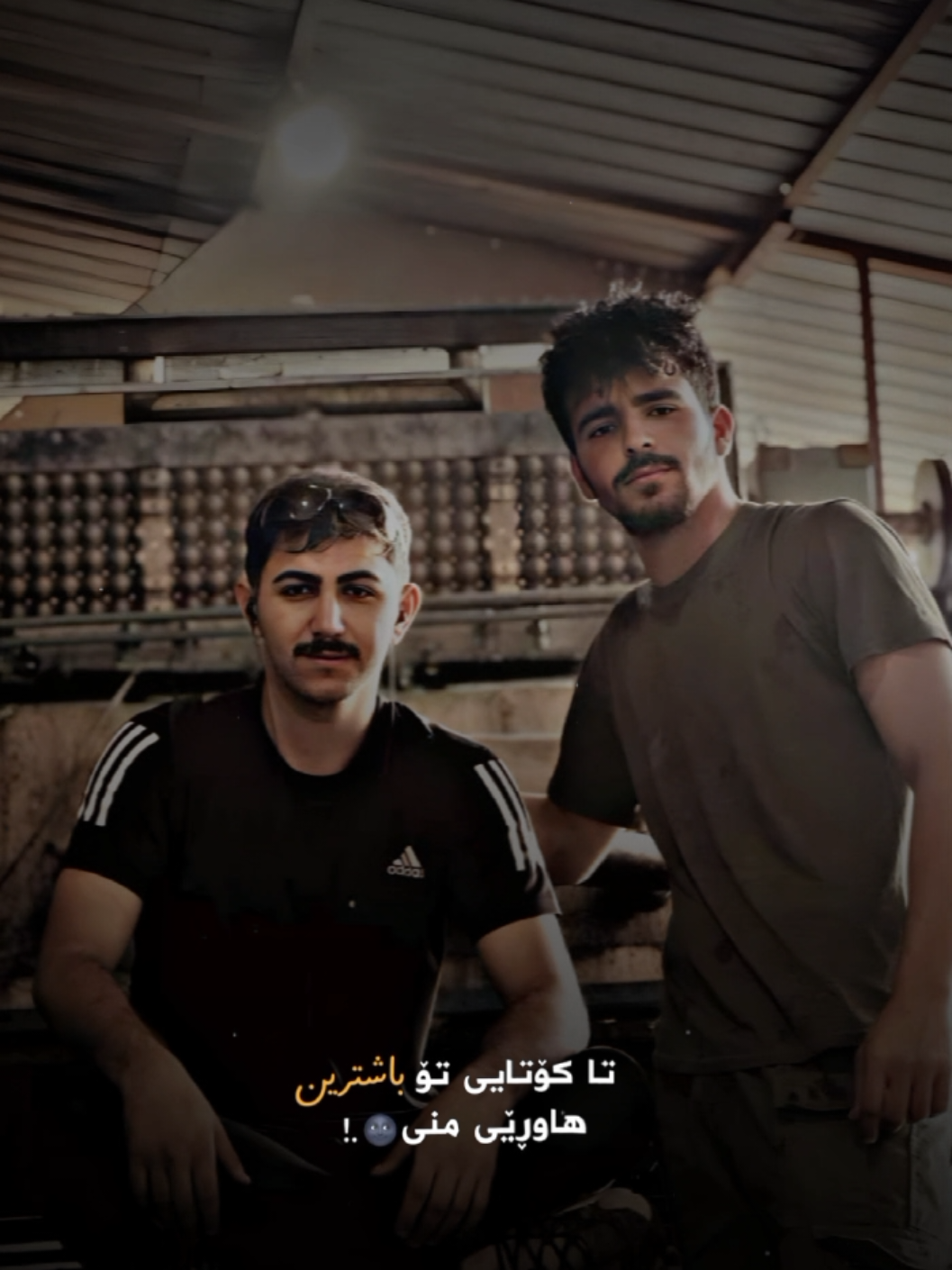 #بیلەعەرەب #بیلە #کورد #بیلۆش @K aR o 