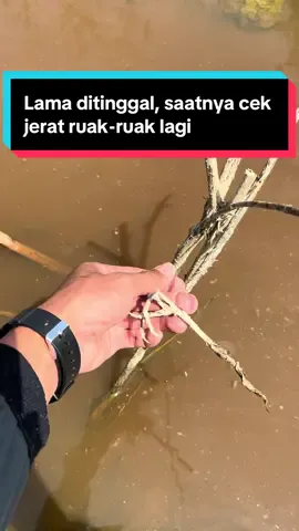 Lama ditinggal, saatnya cek jerat ruak-ruak lagi#jeratruakruak #jeratburung #petualang #ngebolang #fypage 