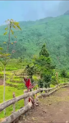 indah nya d kawasan talaga bodas garut selatan sejuk dan nyaman #viwnyaindah#fyp