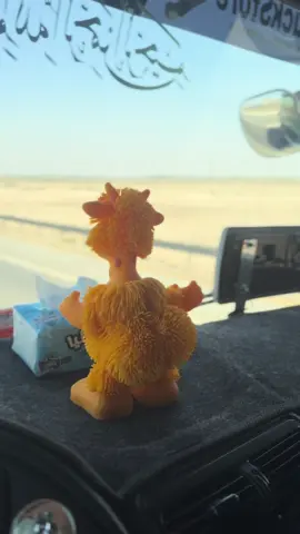 @ابو بارق :🦅✌️ @احمد الجبالي @اكرم الجبوري @العكيد @محسن المهيب @Taha Alhassany @ابو صفاوي @حيدر ال عبود 