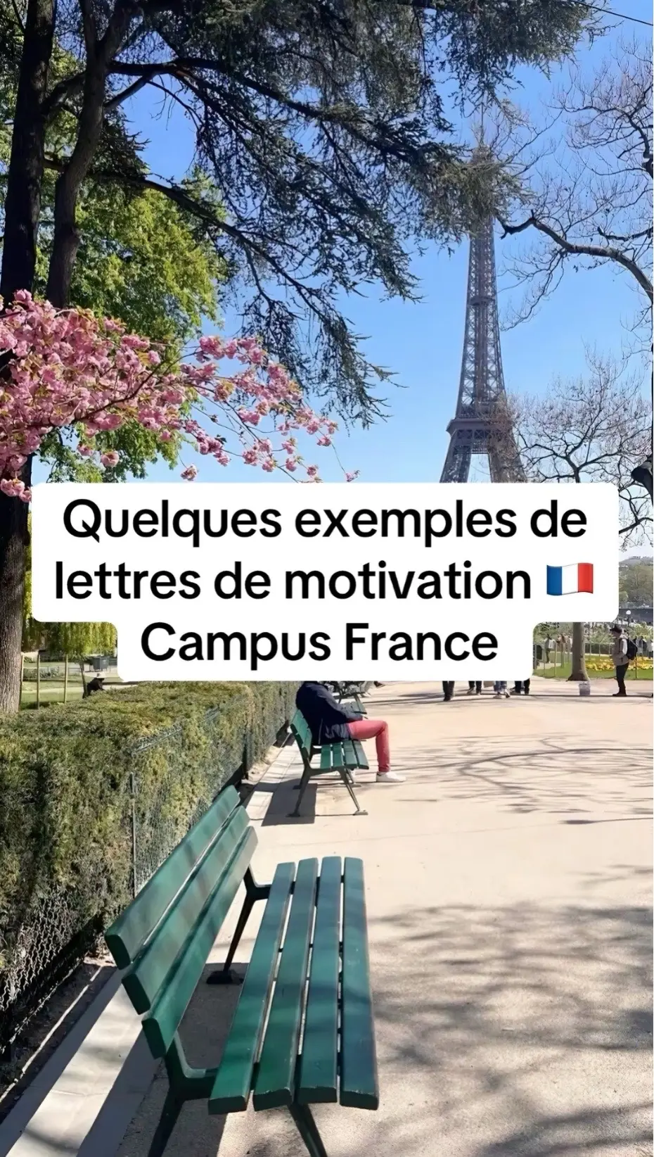 #lettredemotivation #franc #demarchecampusfrance #bac #fyp 