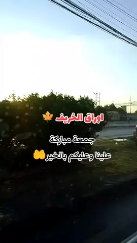 #صباح 🌤الخير 