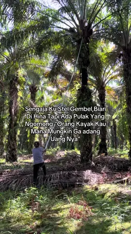 Padahal emang betol” ga ada uang😜🤙#kulisawitkalimantan 