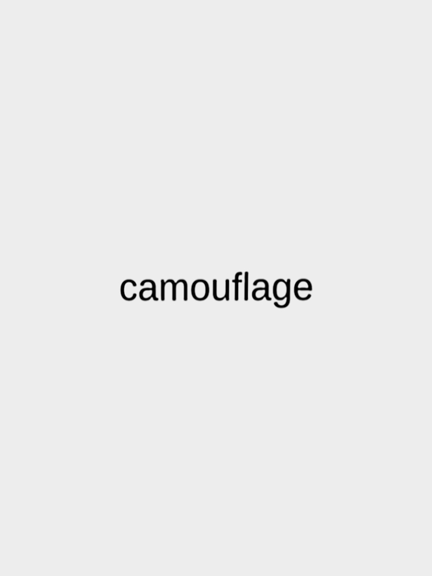Camouflage #camouflage #songss #songslyrics #foryouuu 