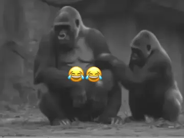 this is universal problem 😂#fypppppppppppppppp #somalitiktok12🇸🇴 #viral #foryoupage #somalitiktok12🇸🇴 