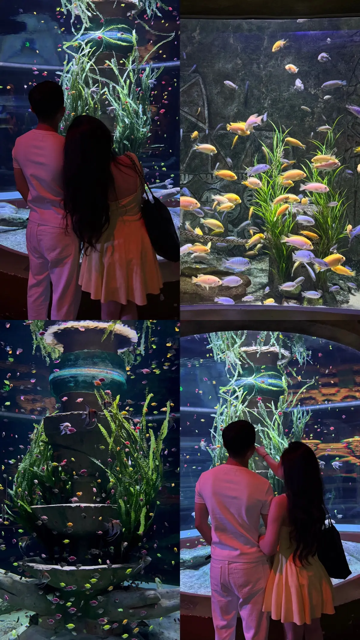 aquarium date 🫧𓇼𓏲*ੈ✩‧₊˚🎐 #couple #fyp #aquarium #viral #vinpearl 