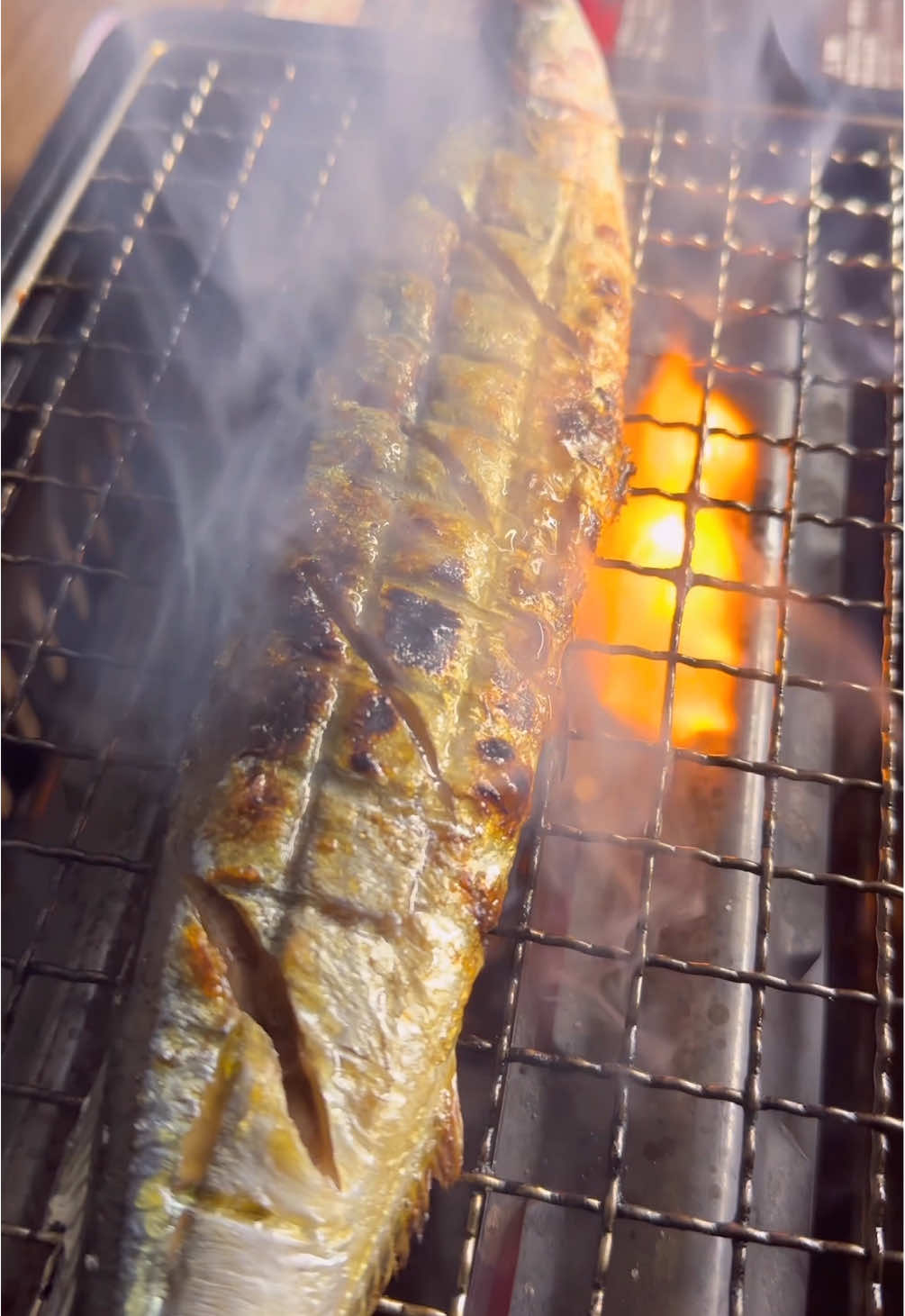 サンマの塩焼きと刺身#おうちごはん #晩酌 #魚捌く 