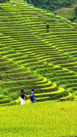 góc quay siêu thực tế #dulichmucangchai #cuporter #homestaymucangchai #bopholendayhomestay 