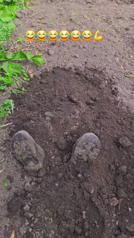 #юмордослез #приколыдослёз 