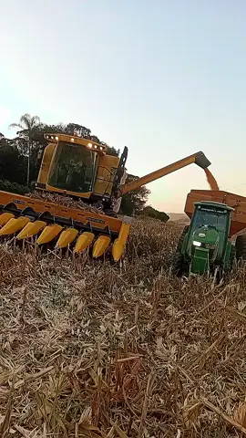 Colheita do milho Safrinha!  🔝🚜💯💥📸🌽 (Se gostou curte, me segue e compartilha!) #agro#colheitadeira#milho#safrinha#agronaopara @Adson & Alana 
