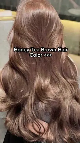 Ganda ng Honey Tea Brown Hair Color 😍🤎 #haircolor #honeyteabrownhaircolor #honeyteabrowncolor #bremodhoneyteabrown #fyp 