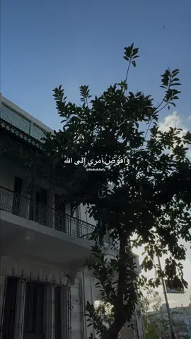 وَأُفَوِّضُ أَمْرِي إِلَى اللَّهِ 🤍 #خالد_الصيفي #مشاري_العفاسي #سورة_غافر #وافوض_امرى_الى_الله #قران_كريم  @خـالـد | khaled 