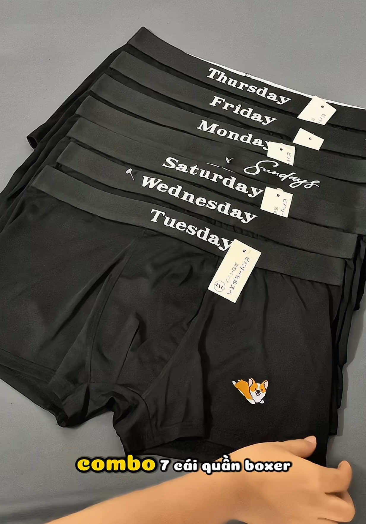 Set 7 cái quần sịp boxer nam chất thun lạnh cotton co giãn 4 chiều cao cấp mặc siu thích luôn ạ #quanlotnam #quansipnam #boxernam #quanboxernam #quanxinam 