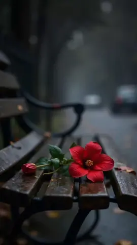 #ادعية_اسلامية_تريح_القلب #دعاء #ادعيه_اذكار_تسبيح_دعاء_استغفار 