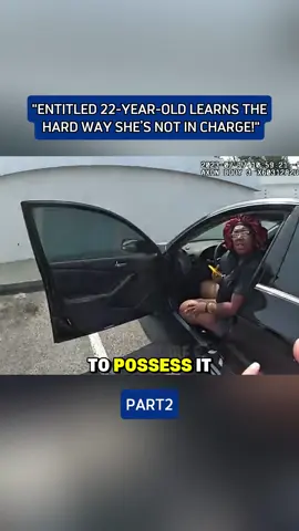 P2 #foryou #tiktok #cops #police #usa 