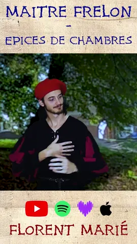 Reprise en version médiévale de la chanson Mistral Gagnant de Renaud. . . #bardcore #french #france #francophone #reprise #musique #medieval #moyenage #menestrel #barde #troubadour #music #song #frenchsong #chansonfrancaise #varietefrancaise #chanteur #musicien #renaud 