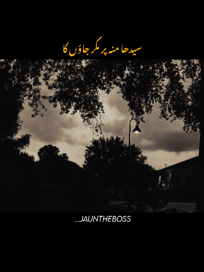 Chahta Hu Tumhe Or Both Chahta Hun!🫠🫶🏻v#foryou #foryoupagе #fyp #aesthetic #poetry 