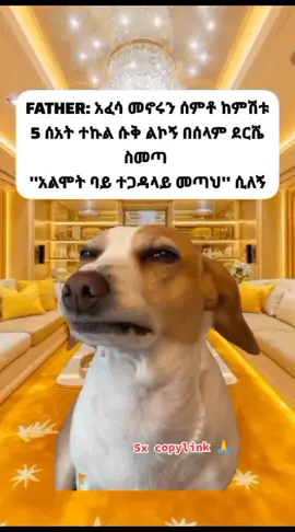 #ethiopian_tik_tok🇪🇹🇪🇹🇪🇹🇪🇹 #fyp #viral #foryoupage #meme