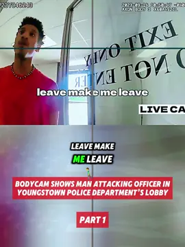 Part 1 #police #policeoftiktok #bodycam #copsoftiktok 