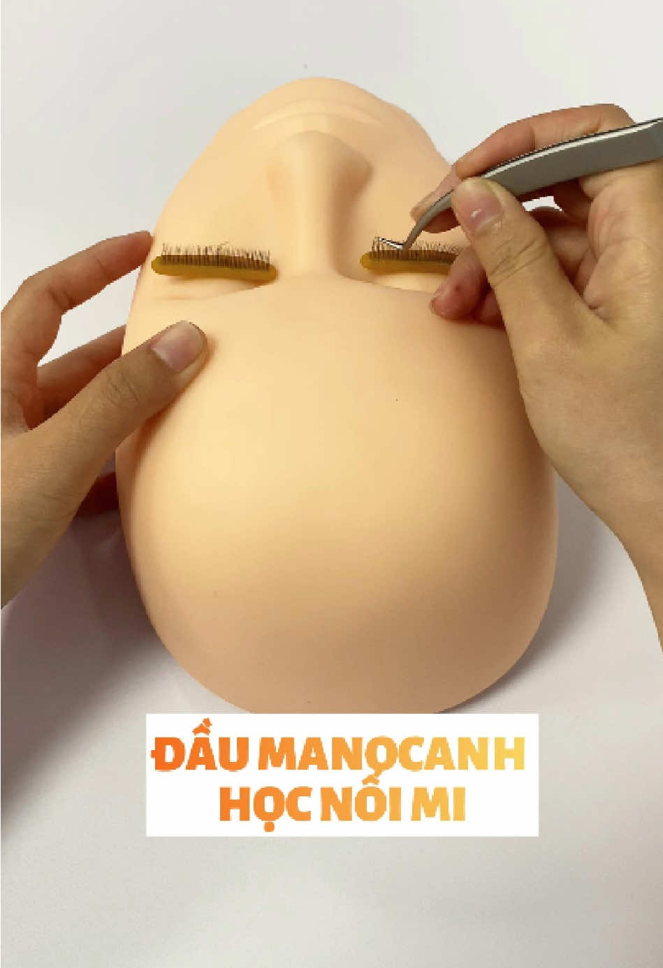 Đầu canh học nối mi, đầu manocanh, đầu manocanh học massage #daumanocanh #daumanocanhcomi #dungcunoimi 