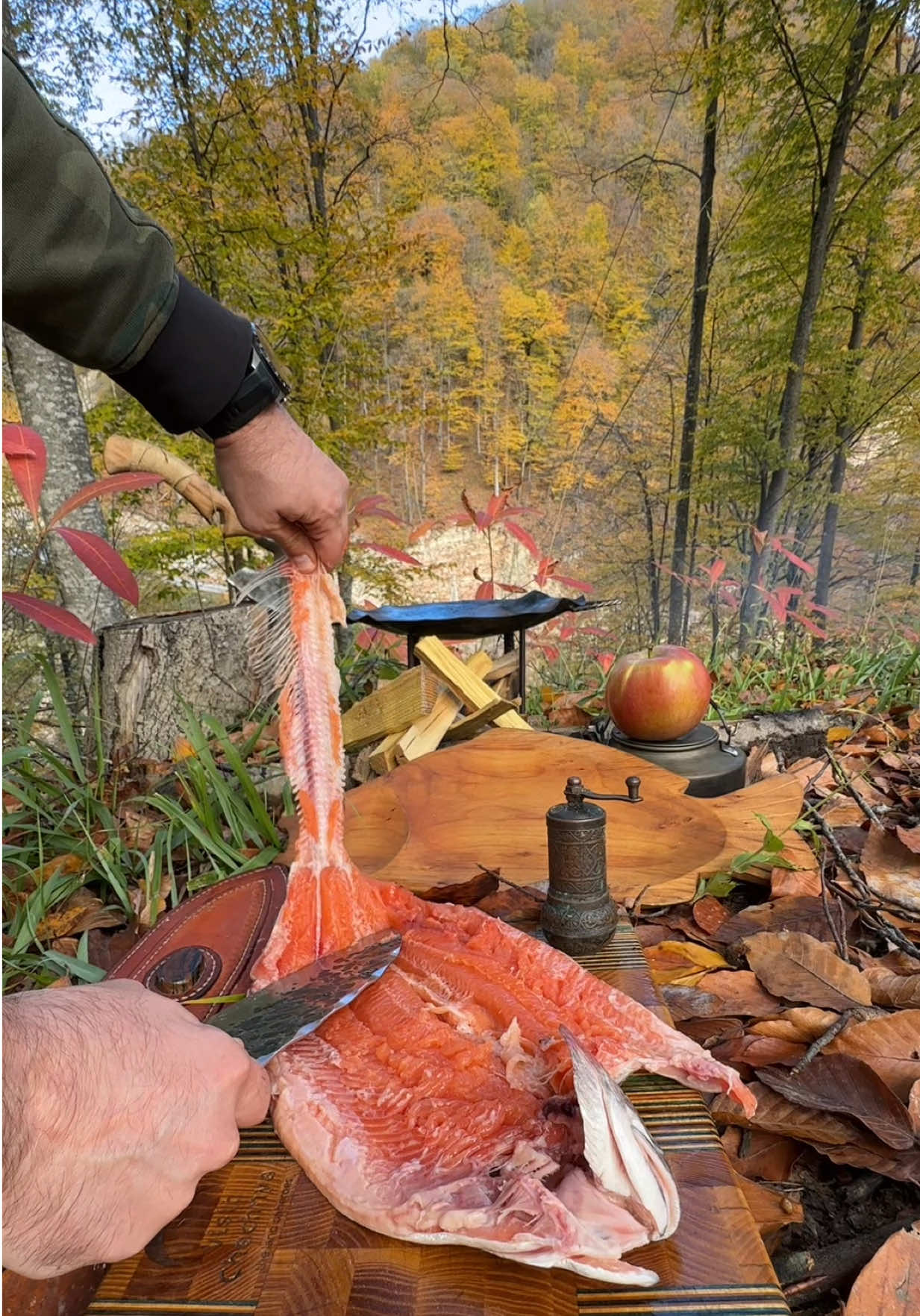 Скиньте брату, который опять на работе, пусть посмотрит, возьмет выходной, и отдохнет. Или вы и есть тот самый брат, который вечно на работе? Или сестра, но тоже работе? Или вы устали отдыхать, и мечтаете о работе? Напишите пару строк о ваших эмоциях после просмотра, появилось ли желание отдохнуть?👌🏻😊 #salmon #chechnya #nature #camping #adamdoc